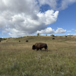 South Dakota’s Highest Peak and An Amazing Cave