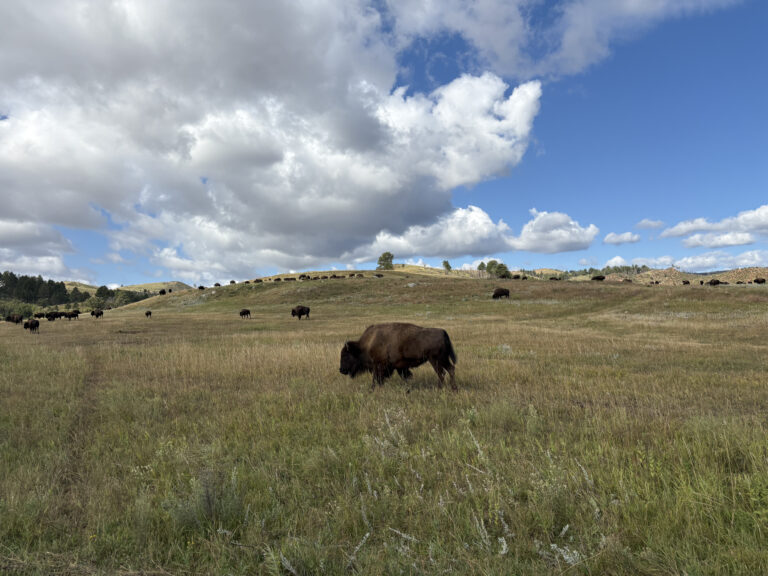 South Dakota’s Highest Peak and An Amazing Cave