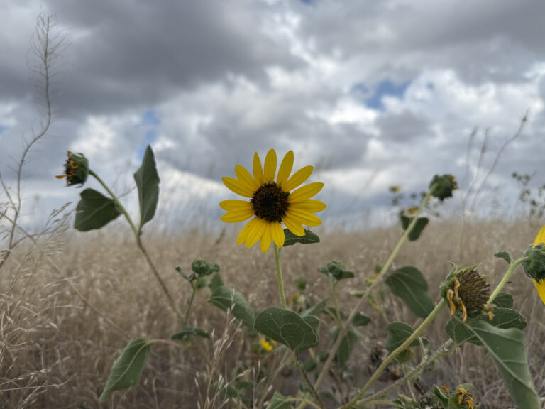 Planes, Trains, and Automobiles… and the Badlands