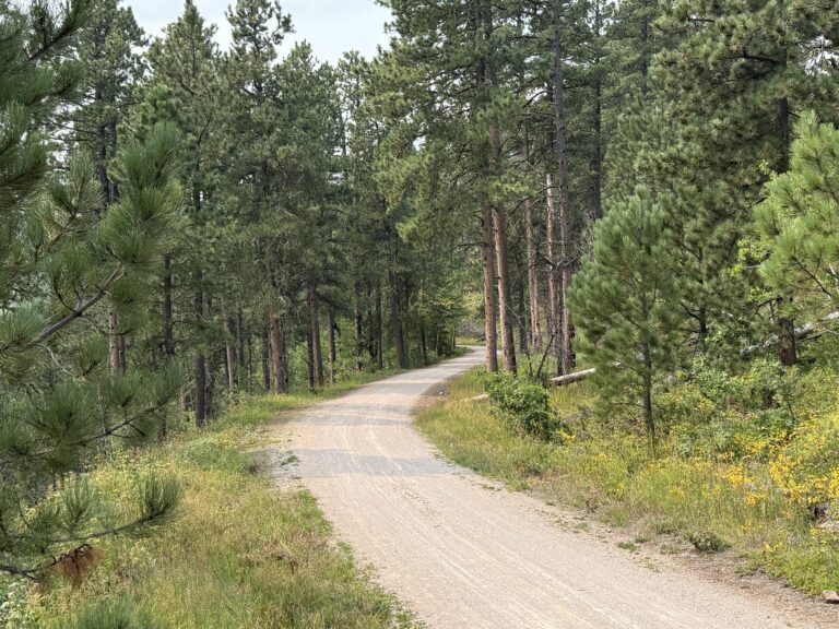 Rapid City and the Mickelson Trail