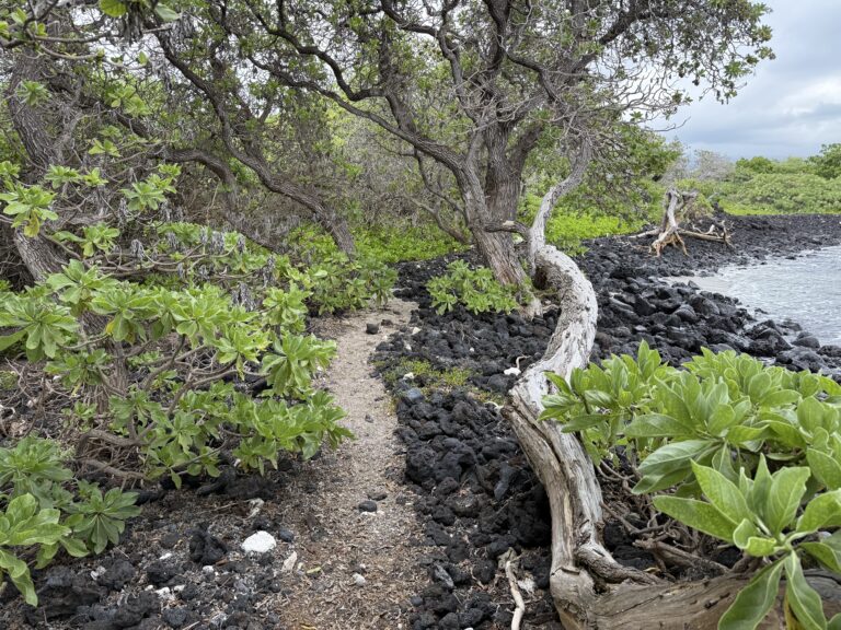 Hawaii Part Three